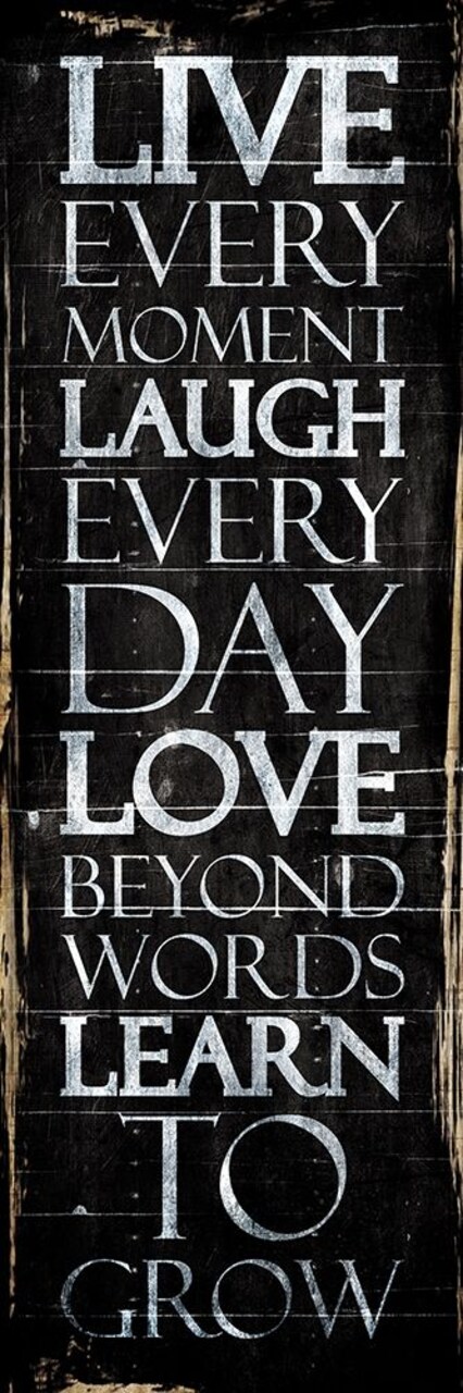 Live Laugh Love Learn Poster Print by Mlli Villa - Item # VARPDXMVPL023B